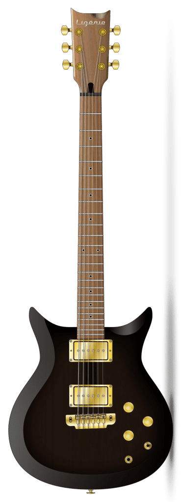 guitare ligerie