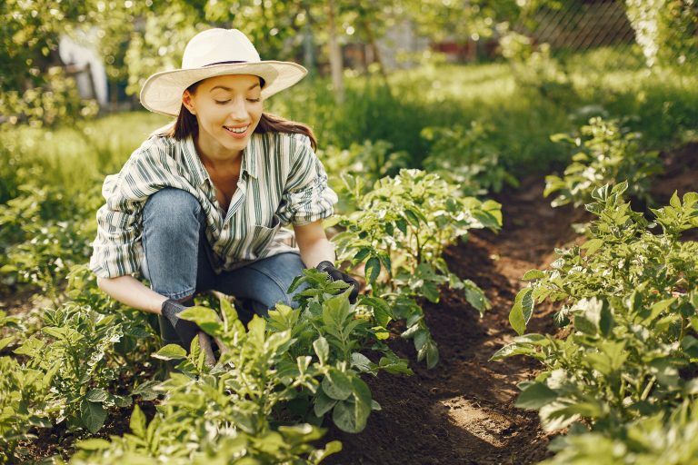 actu bien entretenir son jardin