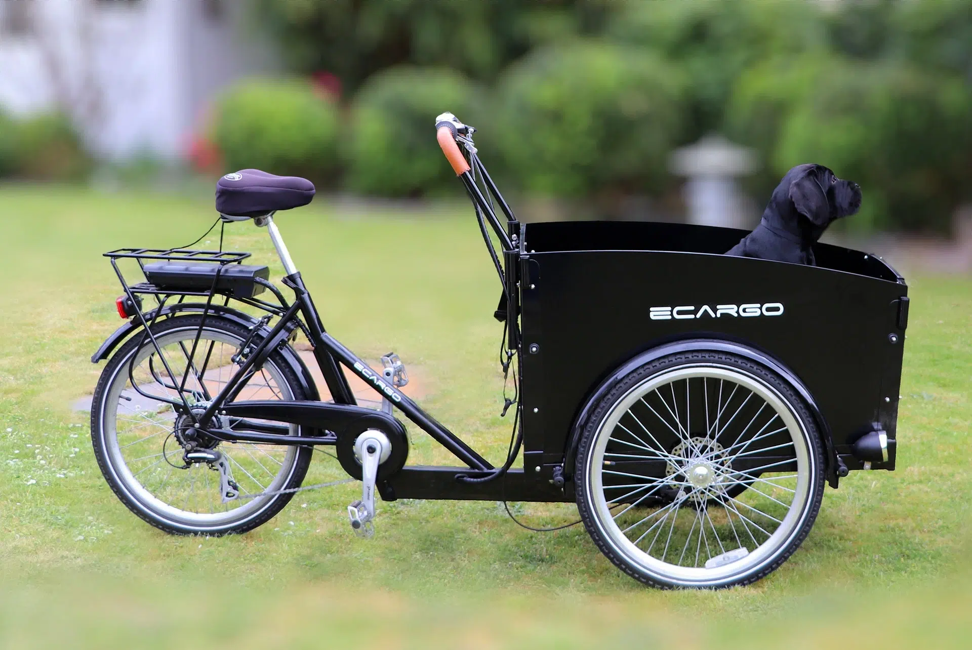 Tricycle vélo électrique 3 roues frein arrière à disque autonomie 50km