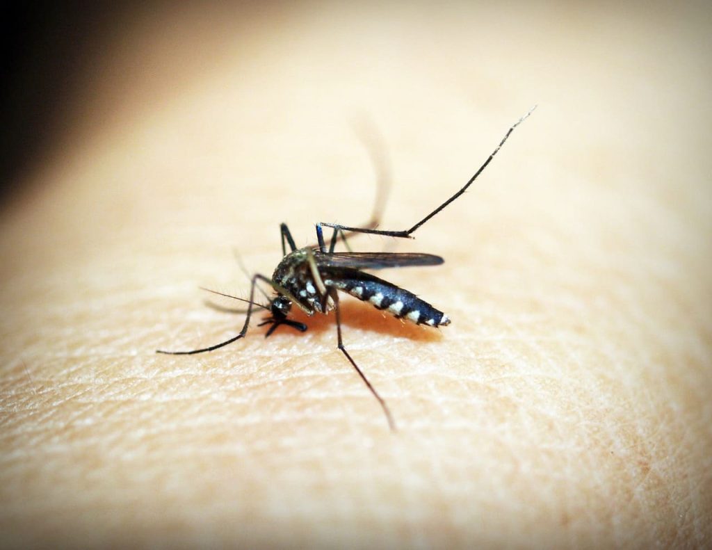 Les meilleurs anti-moustiques