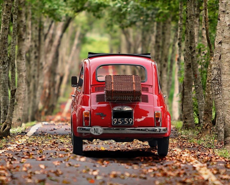 Les meilleurs organisateurs de voiture pour enfants