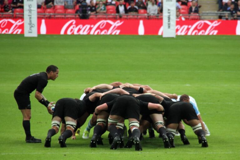 Qui sont les stars de la Coupe du monde de rugby ?