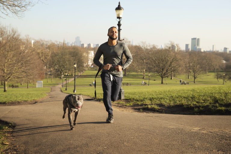 5 activités sportives à pratiquer avec son chien