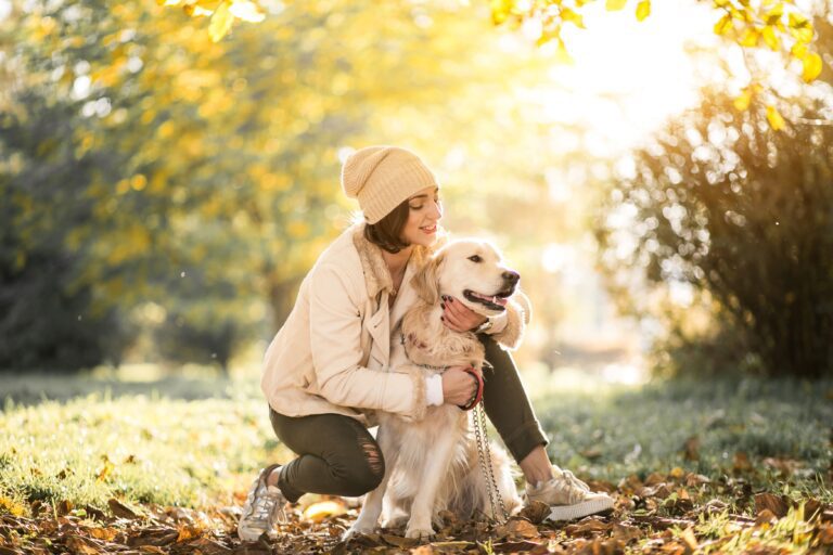 Conseils pour garder vos animaux de compagnie en forme cet automne