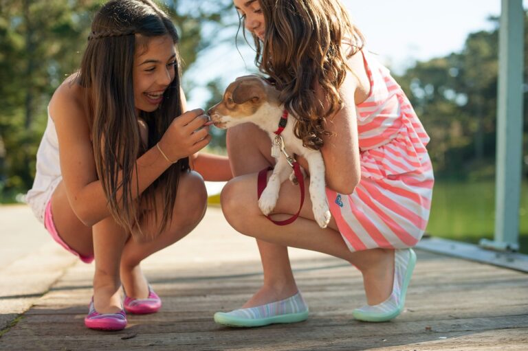 Les meilleurs jouets animaux pour enfants