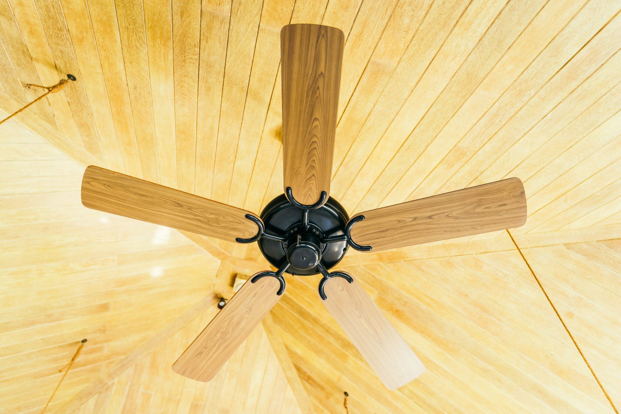 Le meilleur ventilateur écoresponsable