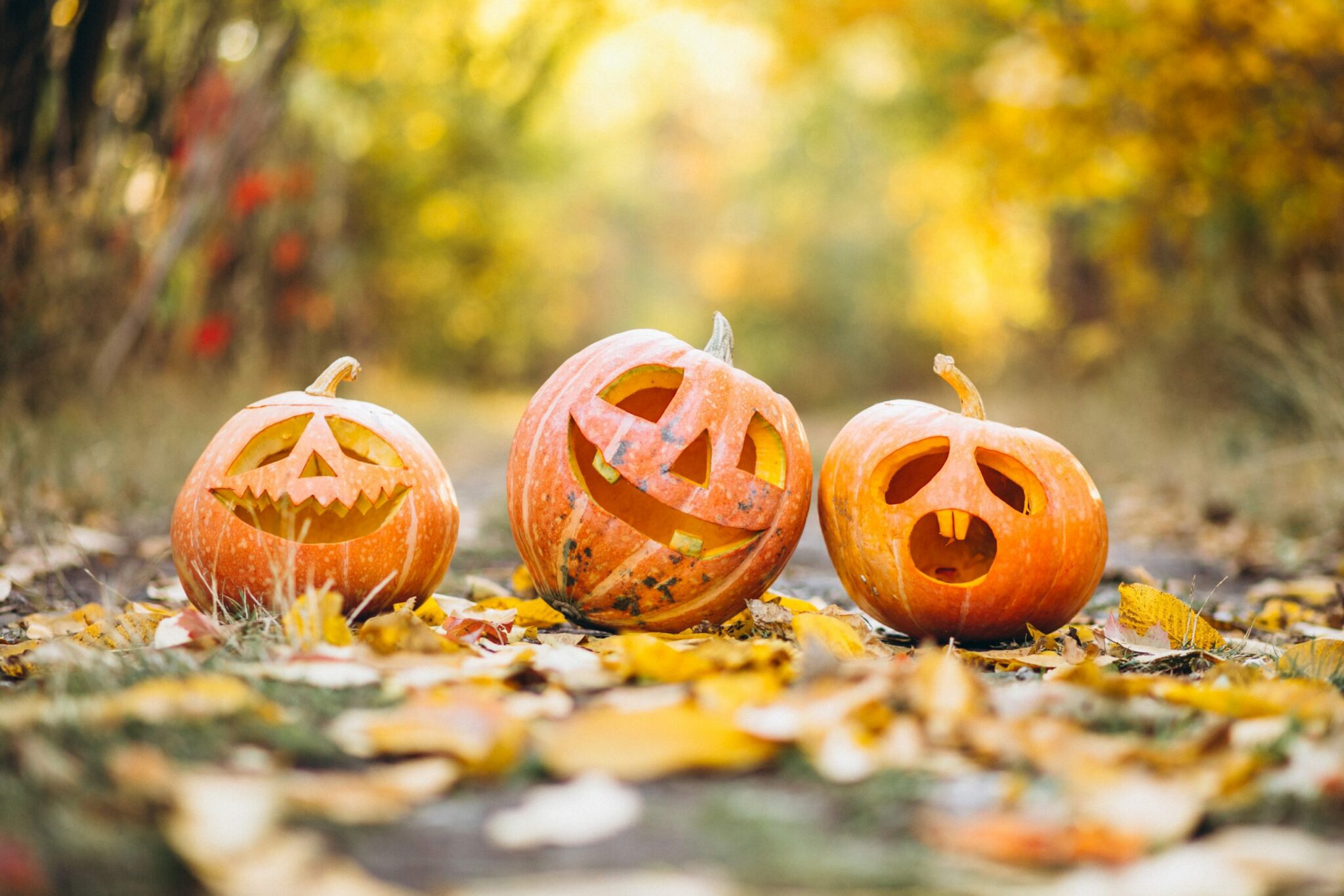 Halloween écolo : 6 idées pour une fête responsable