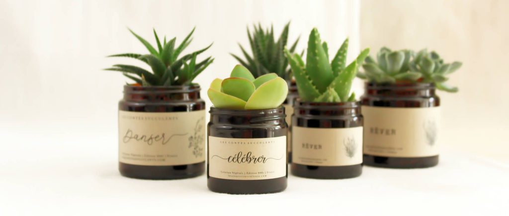 cadeaux salariés succulentes