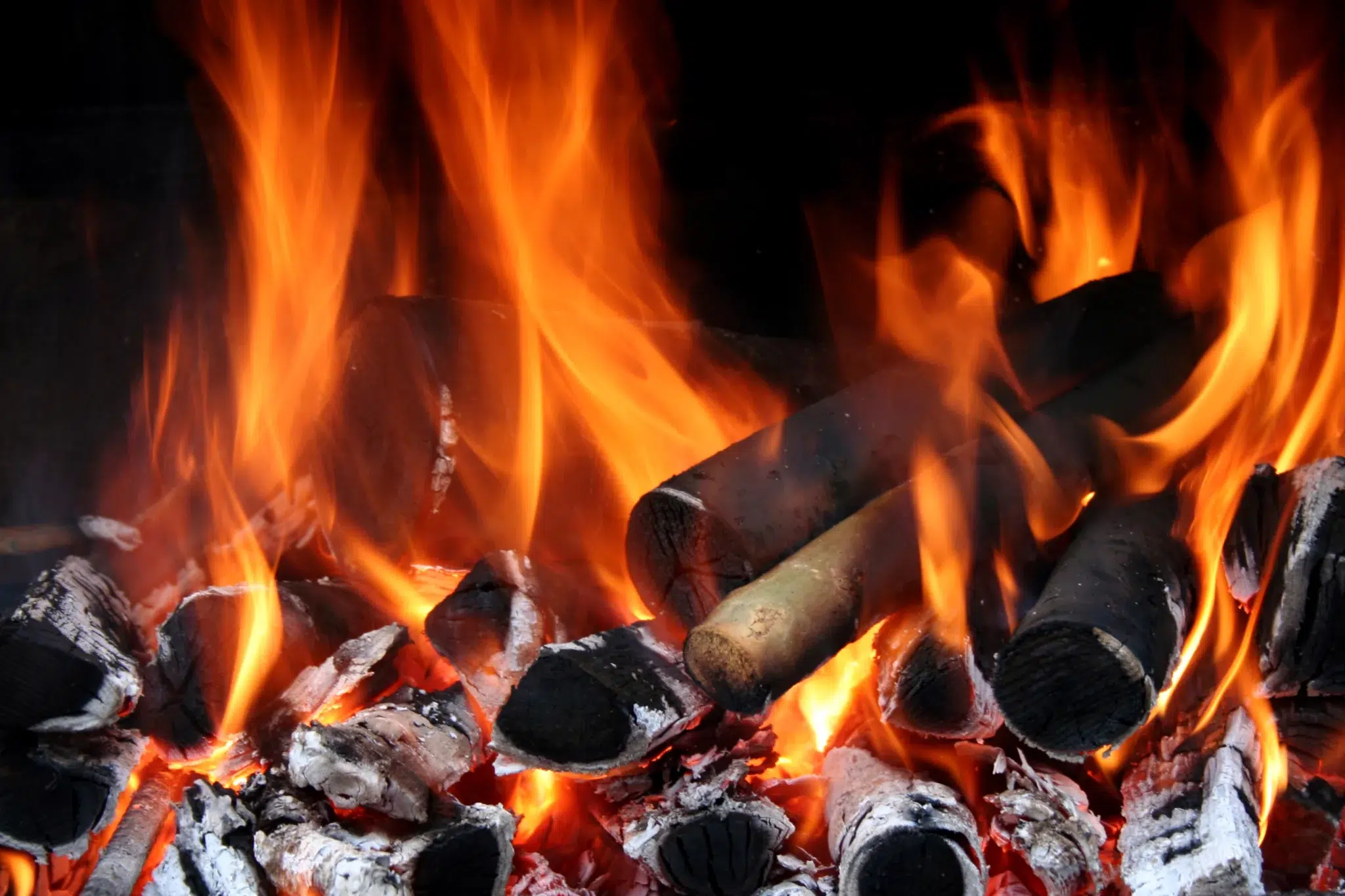 Quel combustible pour un poêle à bois ?