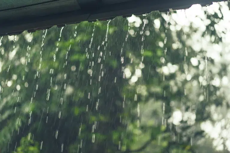 récupérateurs eau de pluie