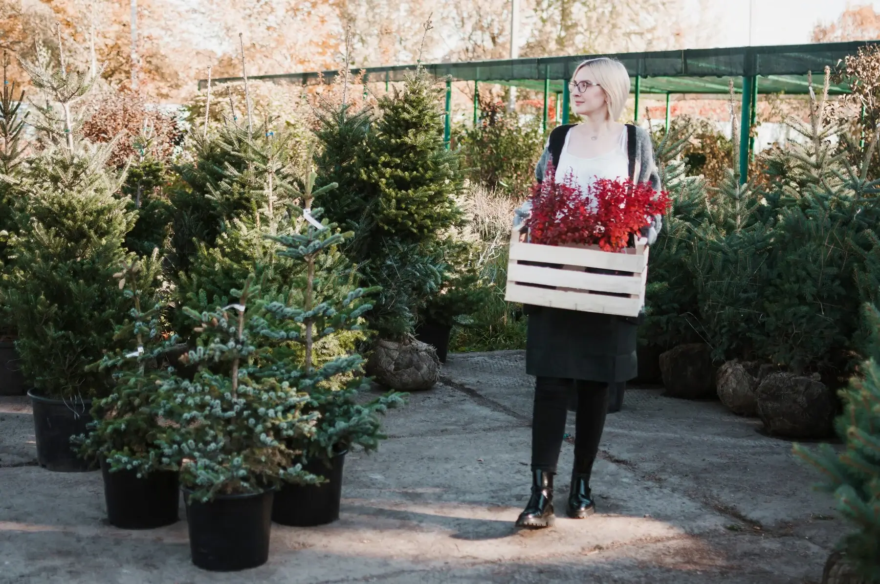 Un abri de jardin : à quoi ça sert ?