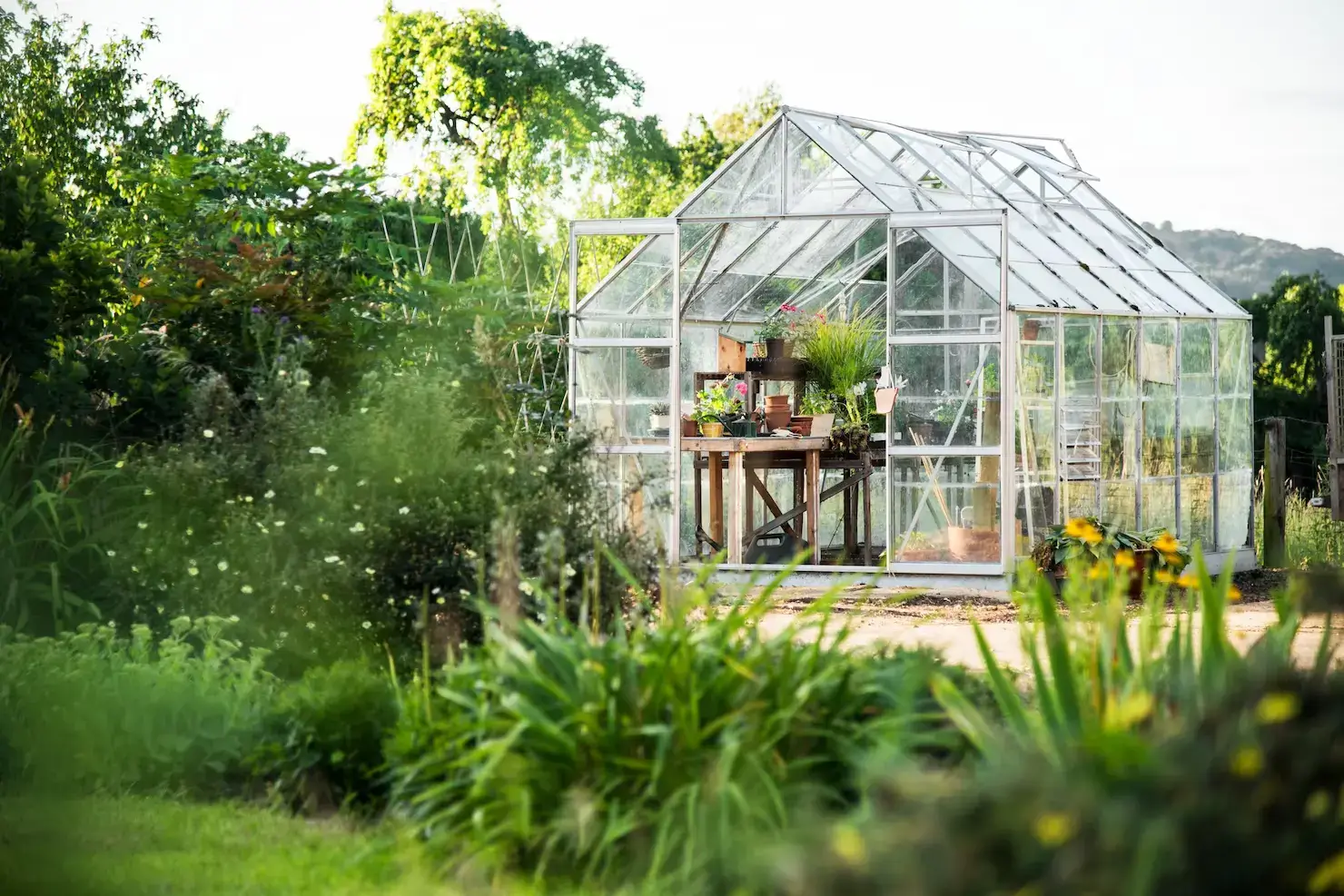 Comment entretenir son abri de jardin ?