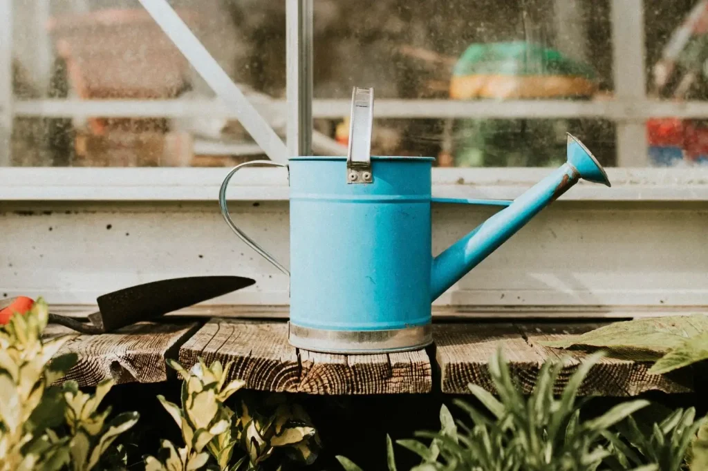 Comment éviter l’humidité dans un abri de jardin ?
