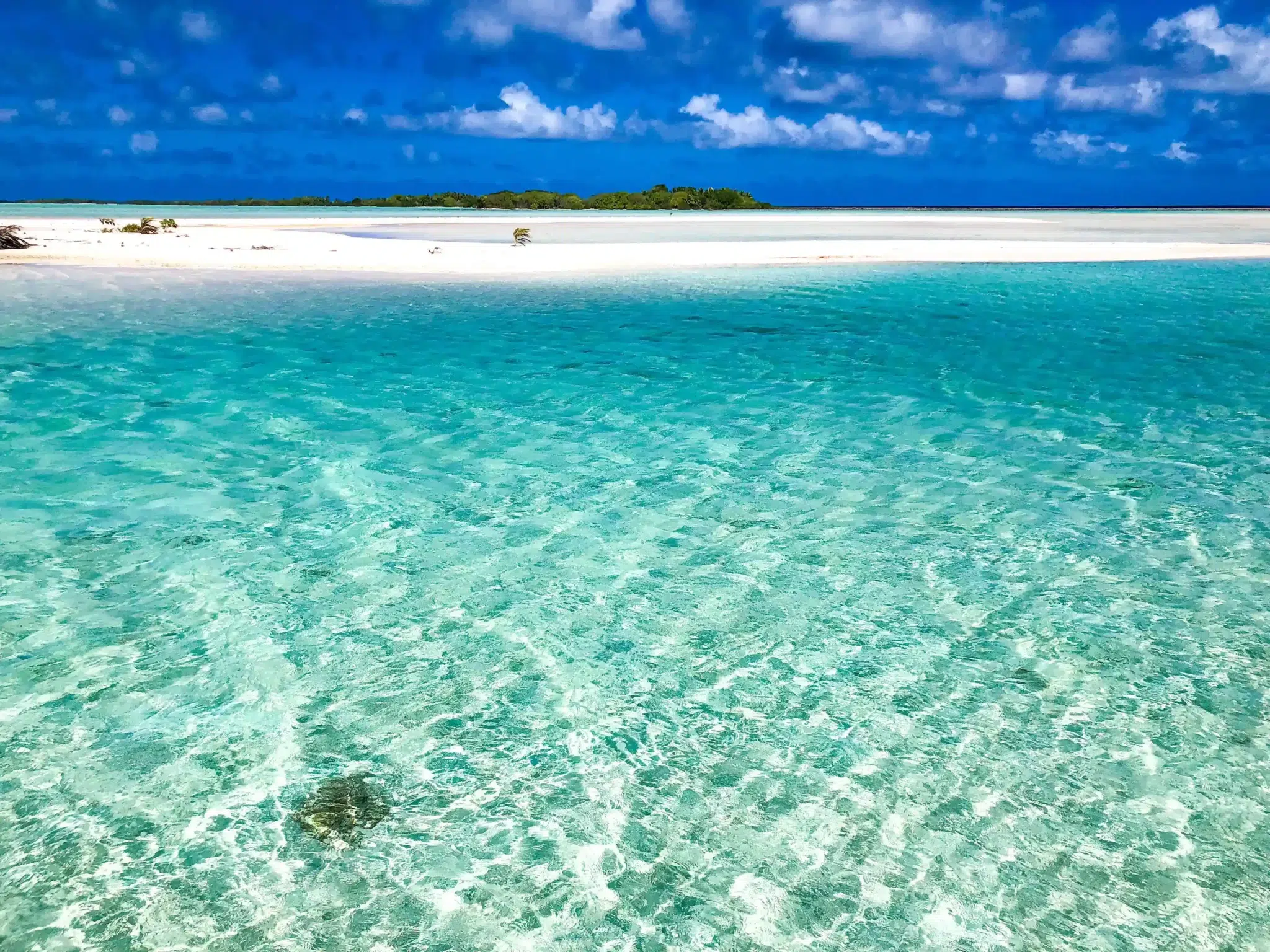 Les plus beaux spots de plongée à découvrir