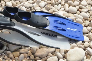 actu quelle longueur de palmes choisir