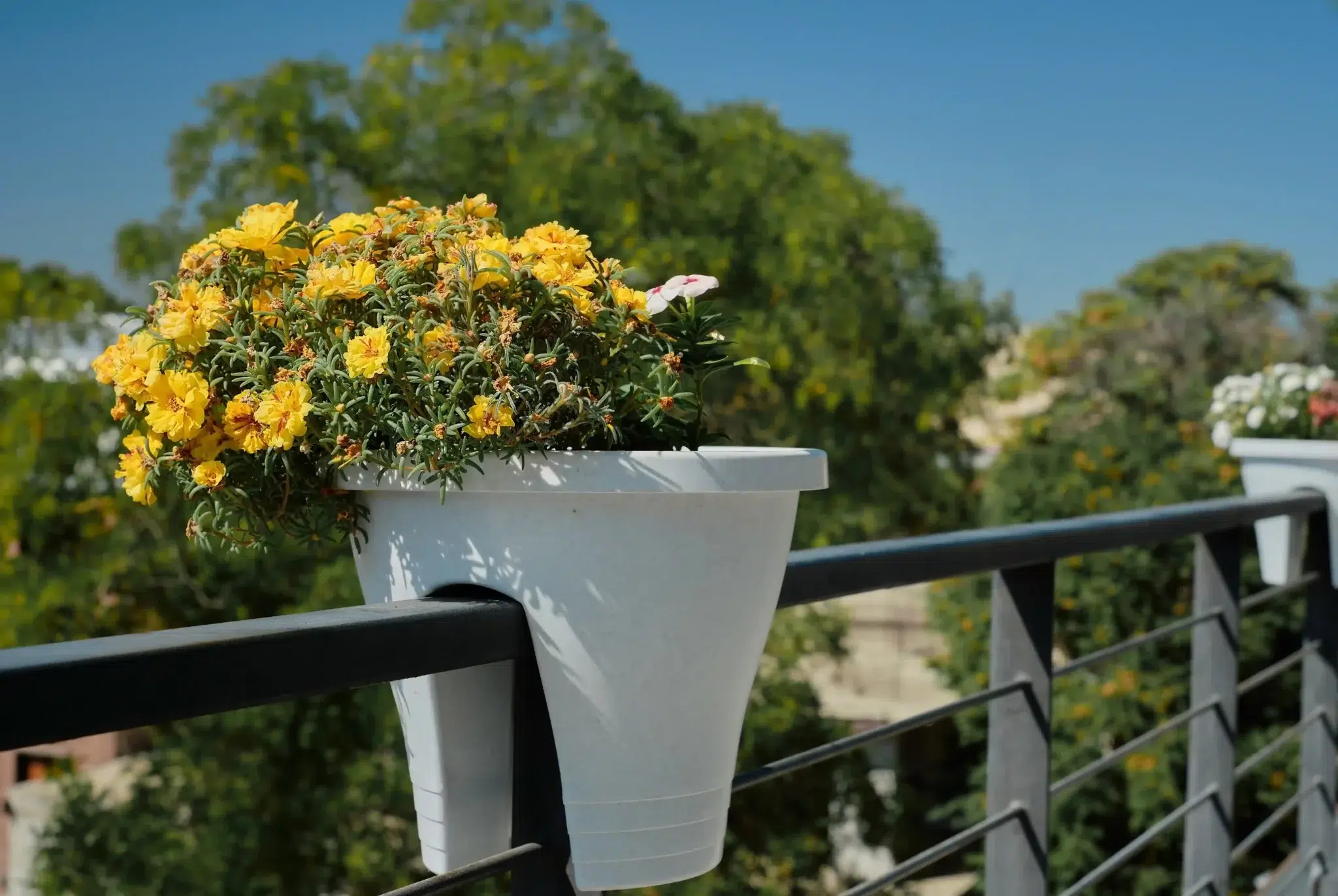 Des conseils pour aménager son balcon