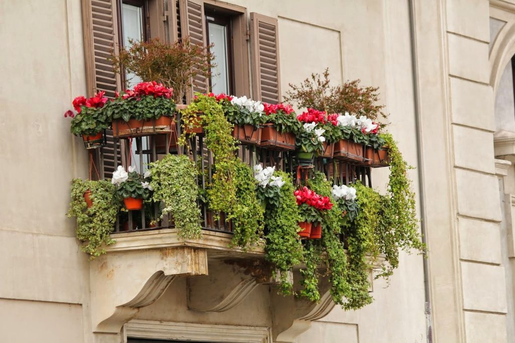 Un potager sur son balcon : est-ce possible ?