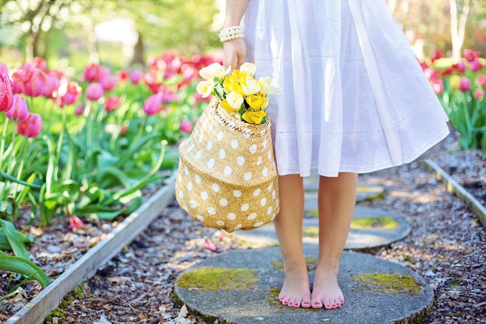 Préparer son jardin pour le printemps
