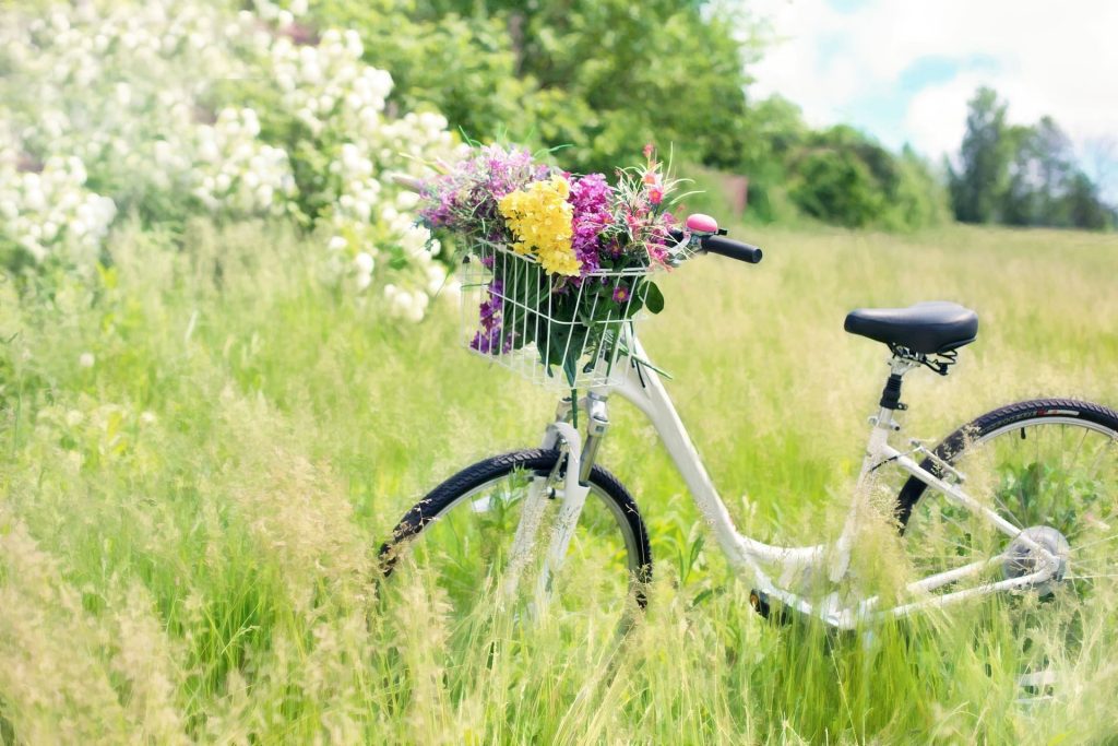 Les alternatives à la voiture pour circuler plus écolo