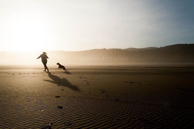 Femme partie en vacances avec son animal de compagnie courant sur la plage