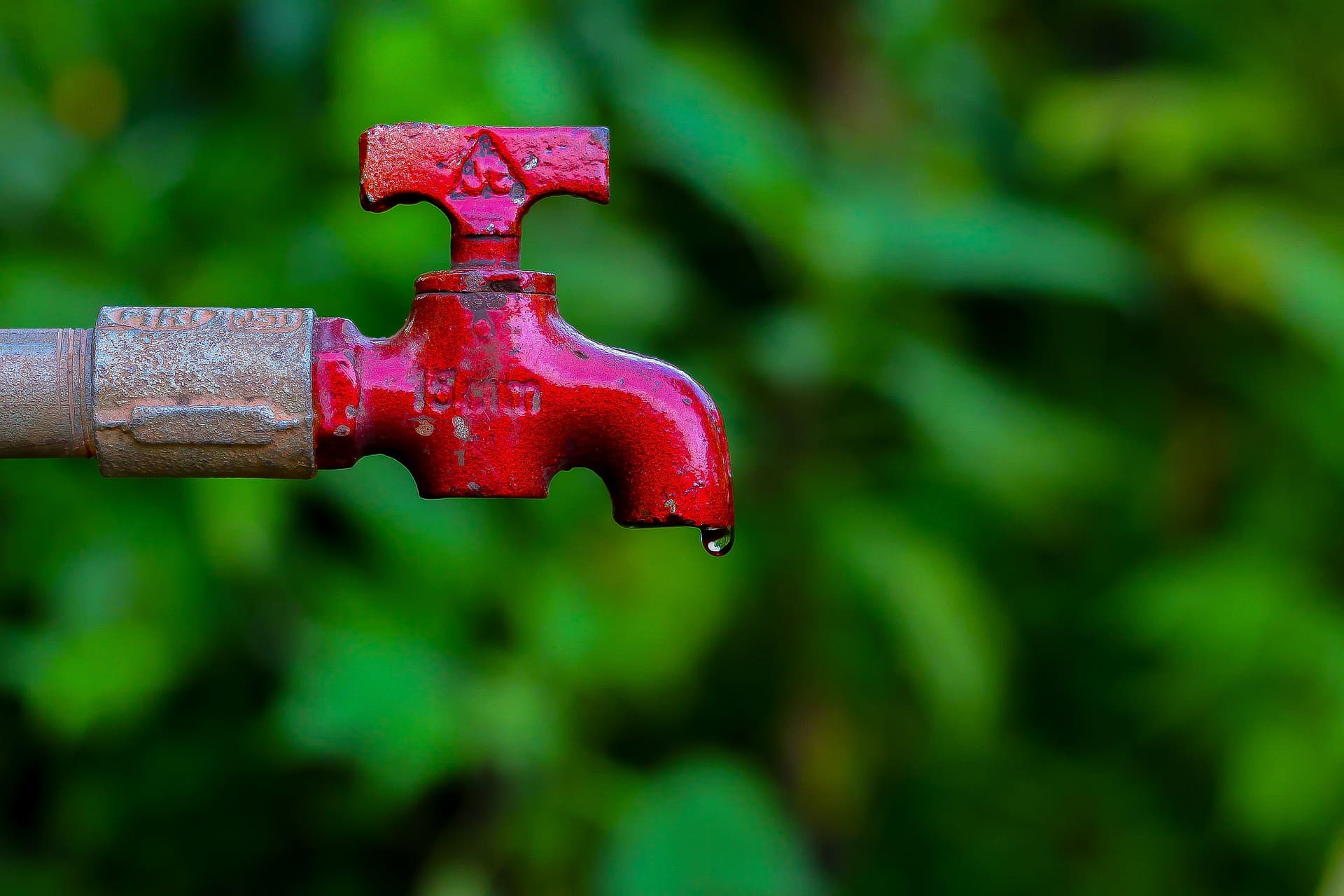 Comment économiser de l’eau avec des gestes faciles ?