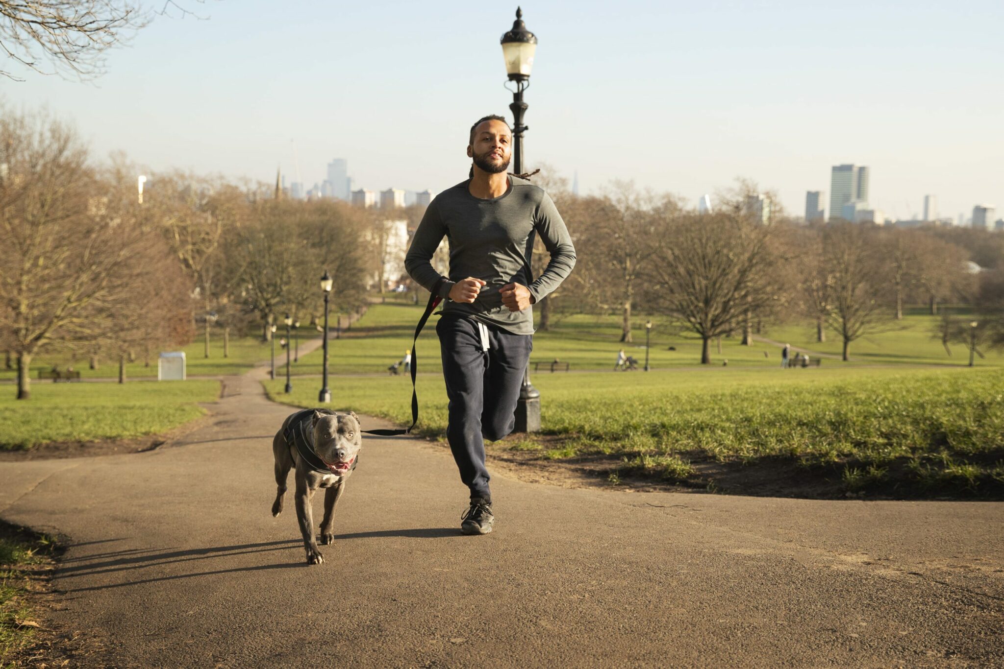5 activités sportives à pratiquer avec son chien