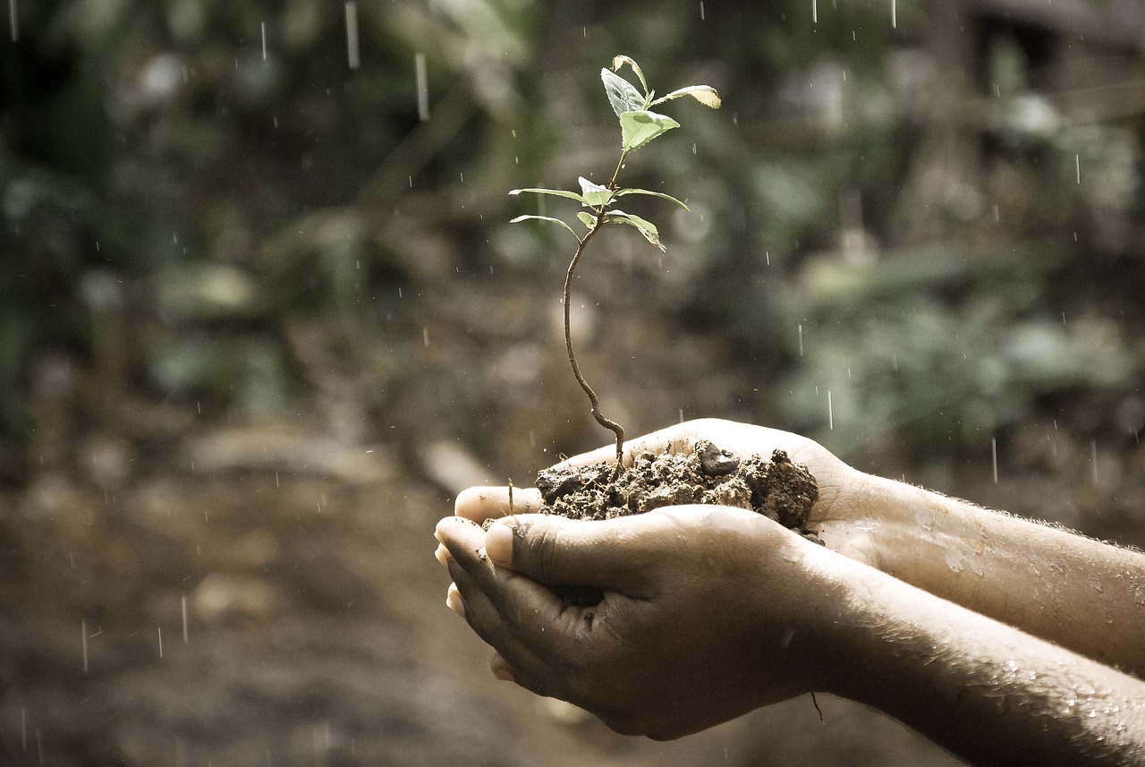 Le meilleur récupérateur d’eau