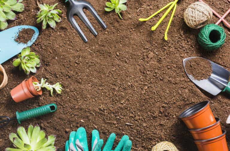 Astuces pour être encore plus écolo dans son jardin