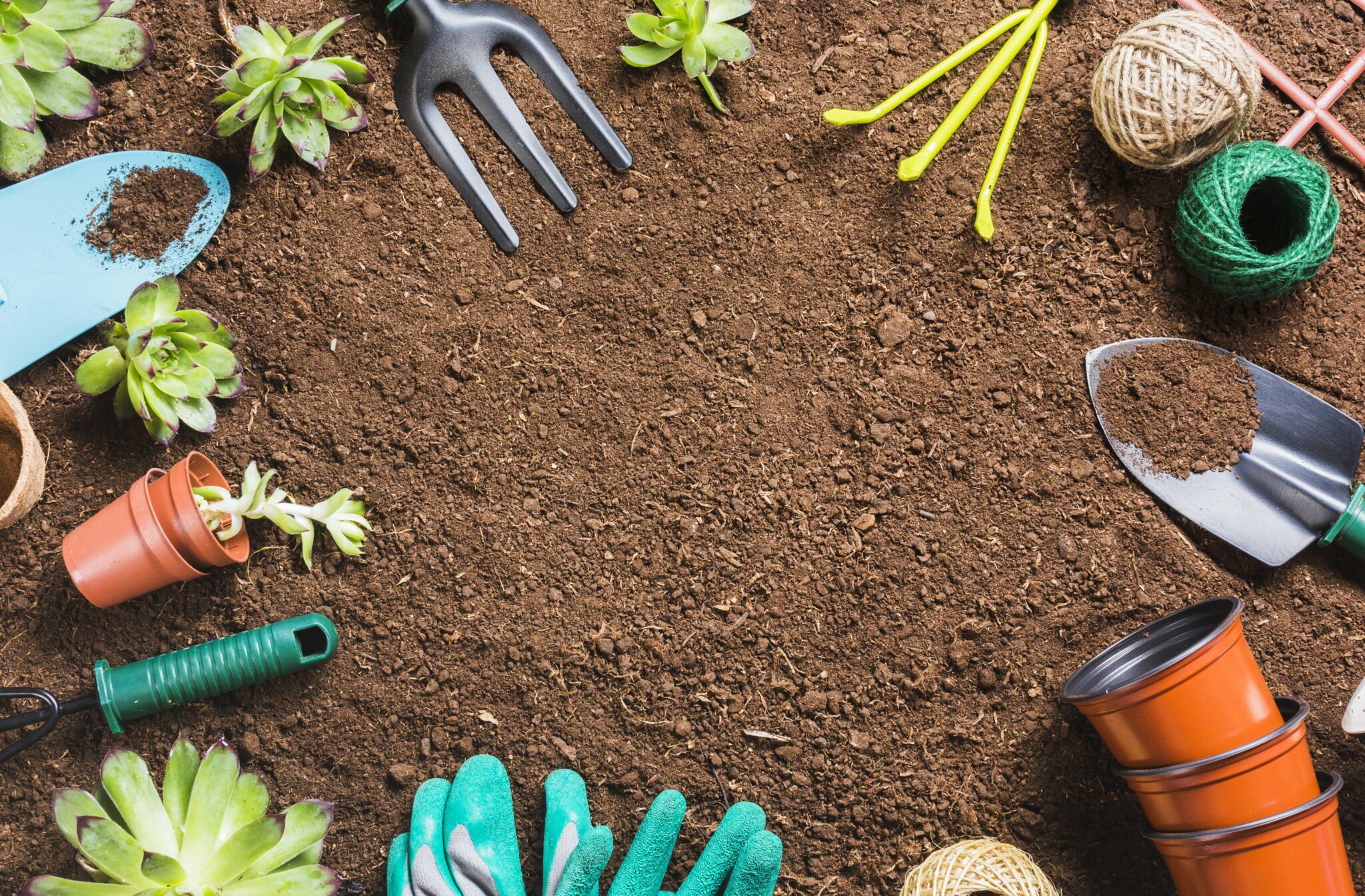 Astuces pour être encore plus écolo dans son jardin