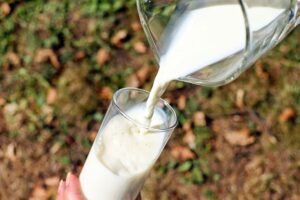 Une personne transvase du lait de vache dans un verre