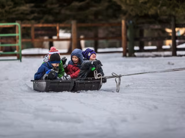 Vitamine D : pourquoi les pédiatres la prescrivent à tous les enfants l&rsquo;hiver, et à quelles doses